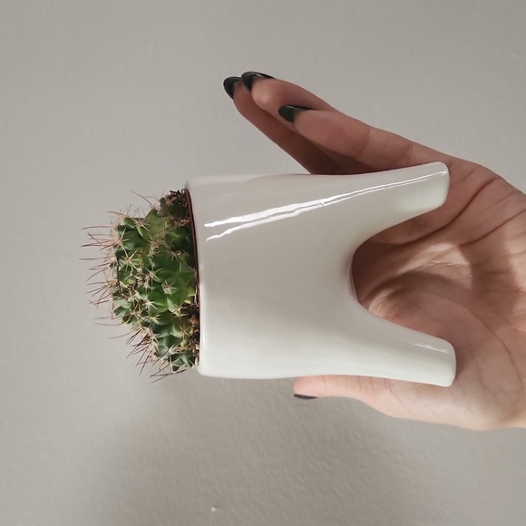 Tiny pot for plants(cactus) - Picture 3 of 4